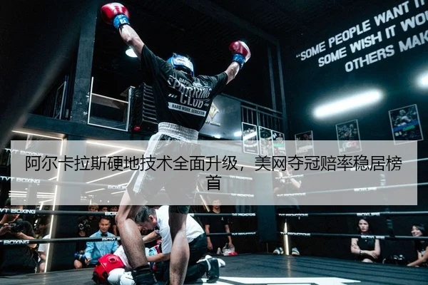 a-er-ka-la-si-ying-di-ji-shu-quan-mian-sheng-ji-mei-wang-duo-guan-pei-lv-wen-ju-bang-shou-2-673.jpg